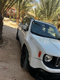 جيب رينيجيد